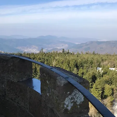 公寓 Braunkehlchen *