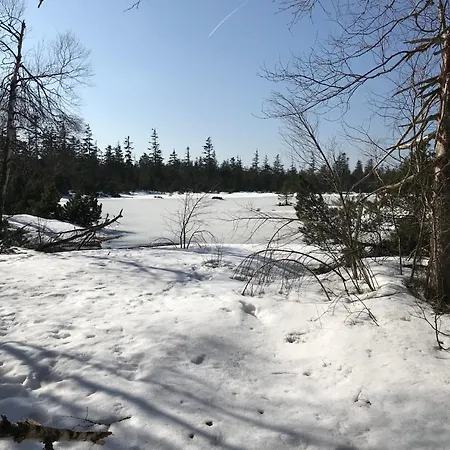 Braunkehlchen 公寓